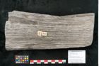 Foto (Objekt + Etikett) von Sigillaria elongata Brongniart (NHMW-GEO-2024-0188-11067)